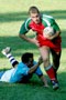 image Rugby - Rogbi